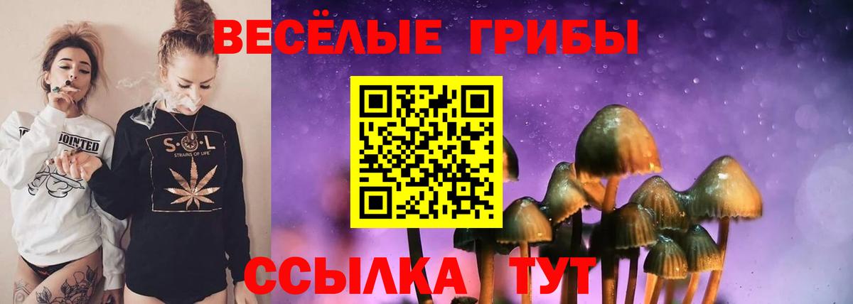 Галлюциногенные грибы Cubensis Курганинск